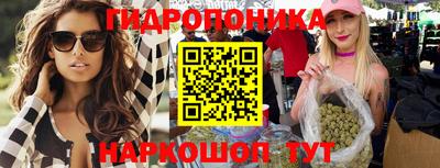 крисы Малгобек