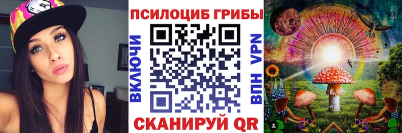 цена   kraken tor  Псилоцибиновые грибы GOLDEN TEACHER  Зима 