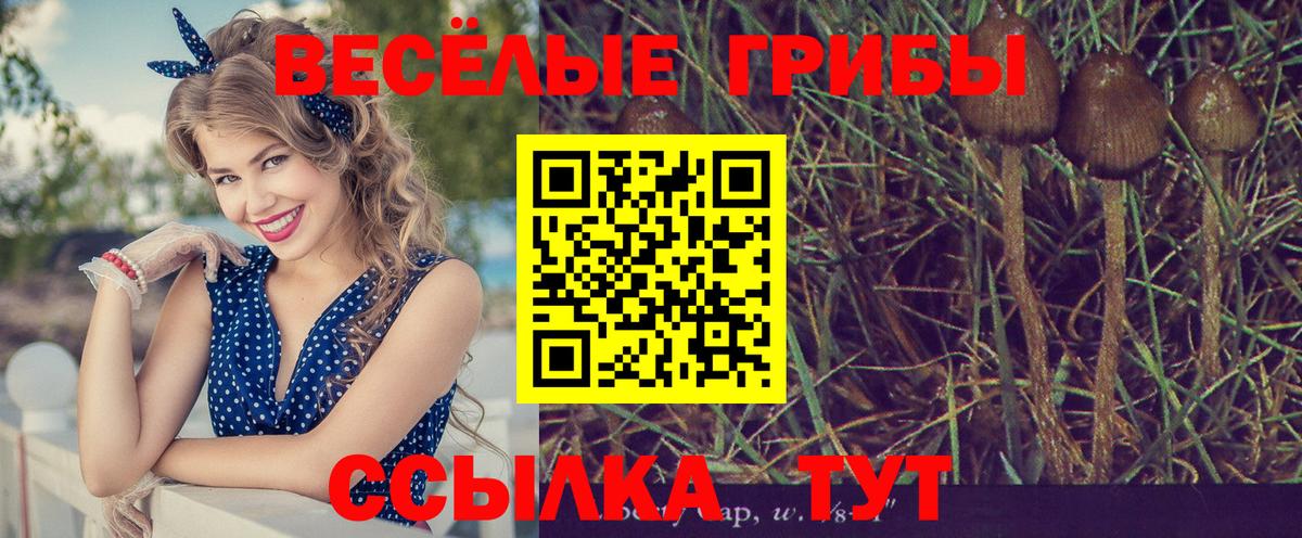 Галлюциногенные грибы прущие грибы  Вход с VPN  Зима 
