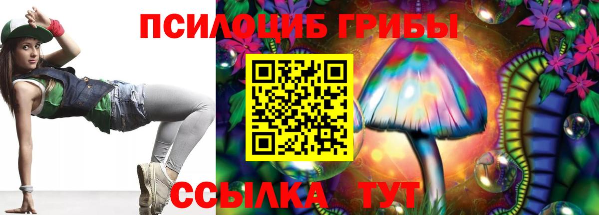 Галлюциногенные грибы MAGIC MUSHROOMS Зима